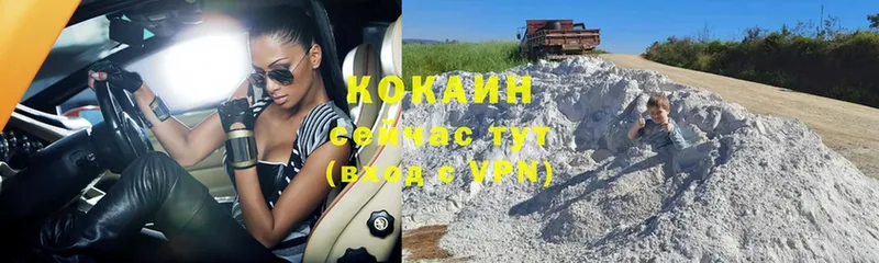 Cocaine FishScale Закаменск